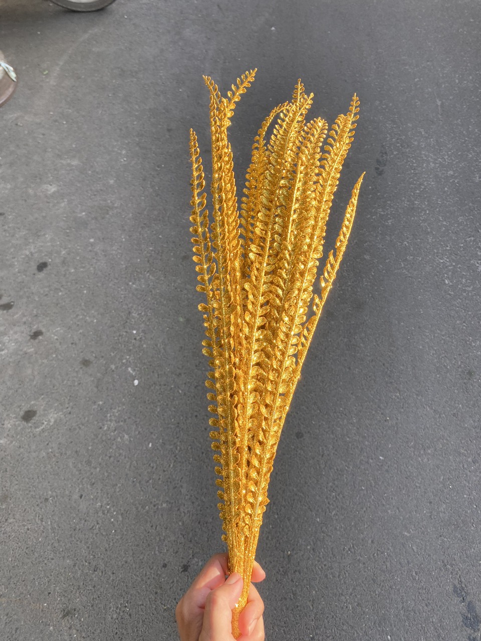 Cây vạn tuế (hoa kim tuyến)