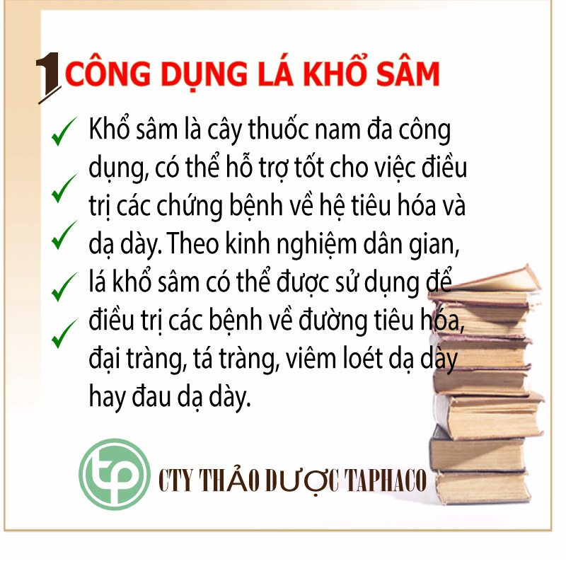 Dried Ginseng Leaves 1kg - Clean, Green and Fragrant Product Specialized for Making Tea or Brewing Drinking Water - Tan Phat Herbal Medicine