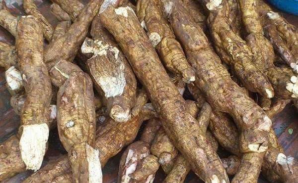Bột sắn dây nguyên chất - 1kg (2 hôp)