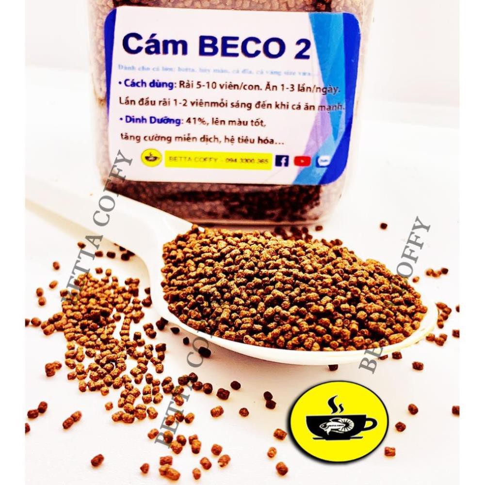 Cám BECO 2 - Thức ăn cho cá lớn 🐠 BETTA COFFY  FARM FARM