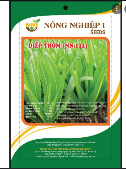 Hạt giống rau diếp thơm 10gr