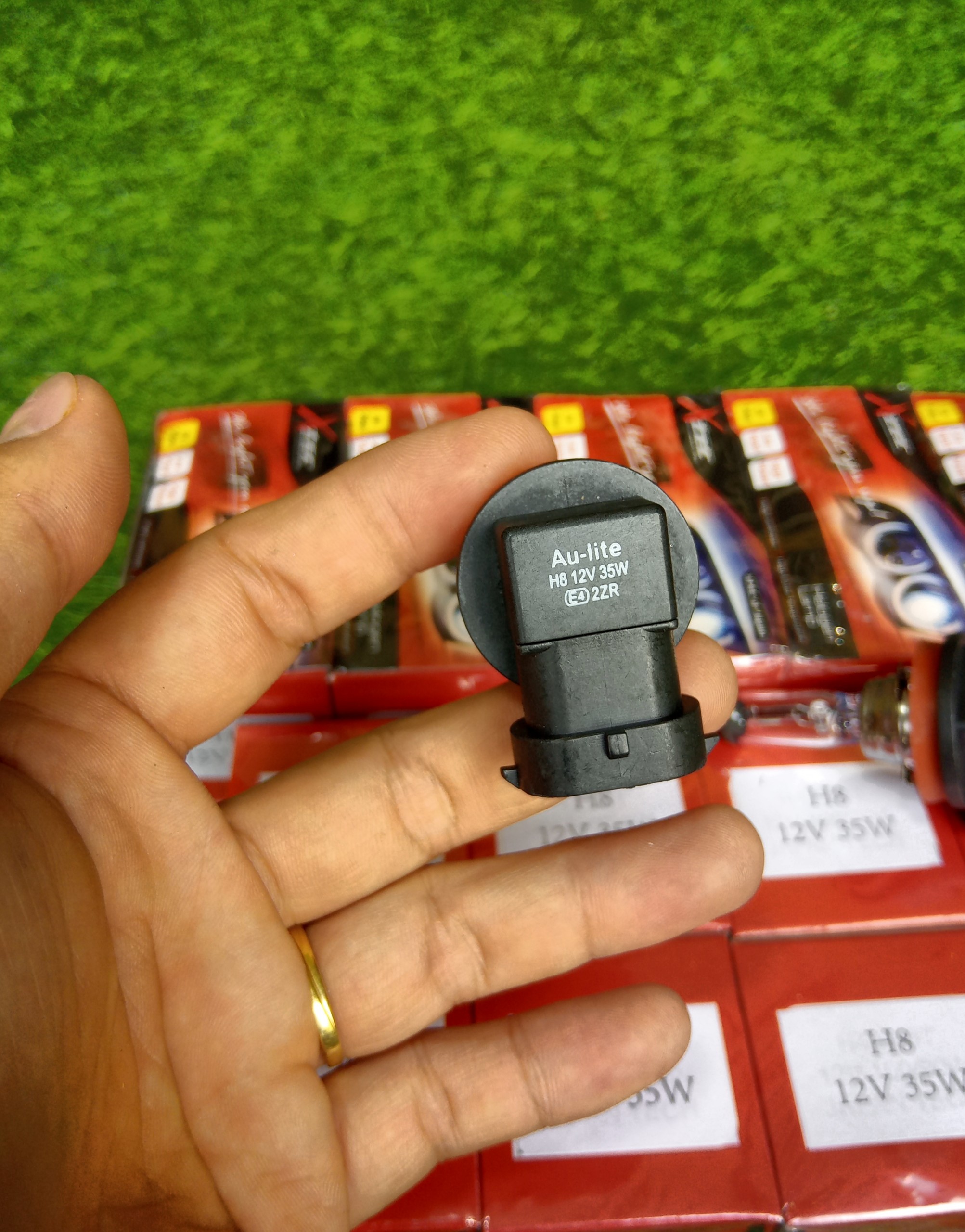 [HCM]Bóng đèn Halogen H8 12V 35W Japan