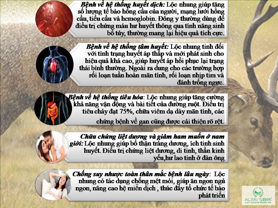 BỘT NHUNG HƯƠU KHÔ SIBIRI ( gói 50g)