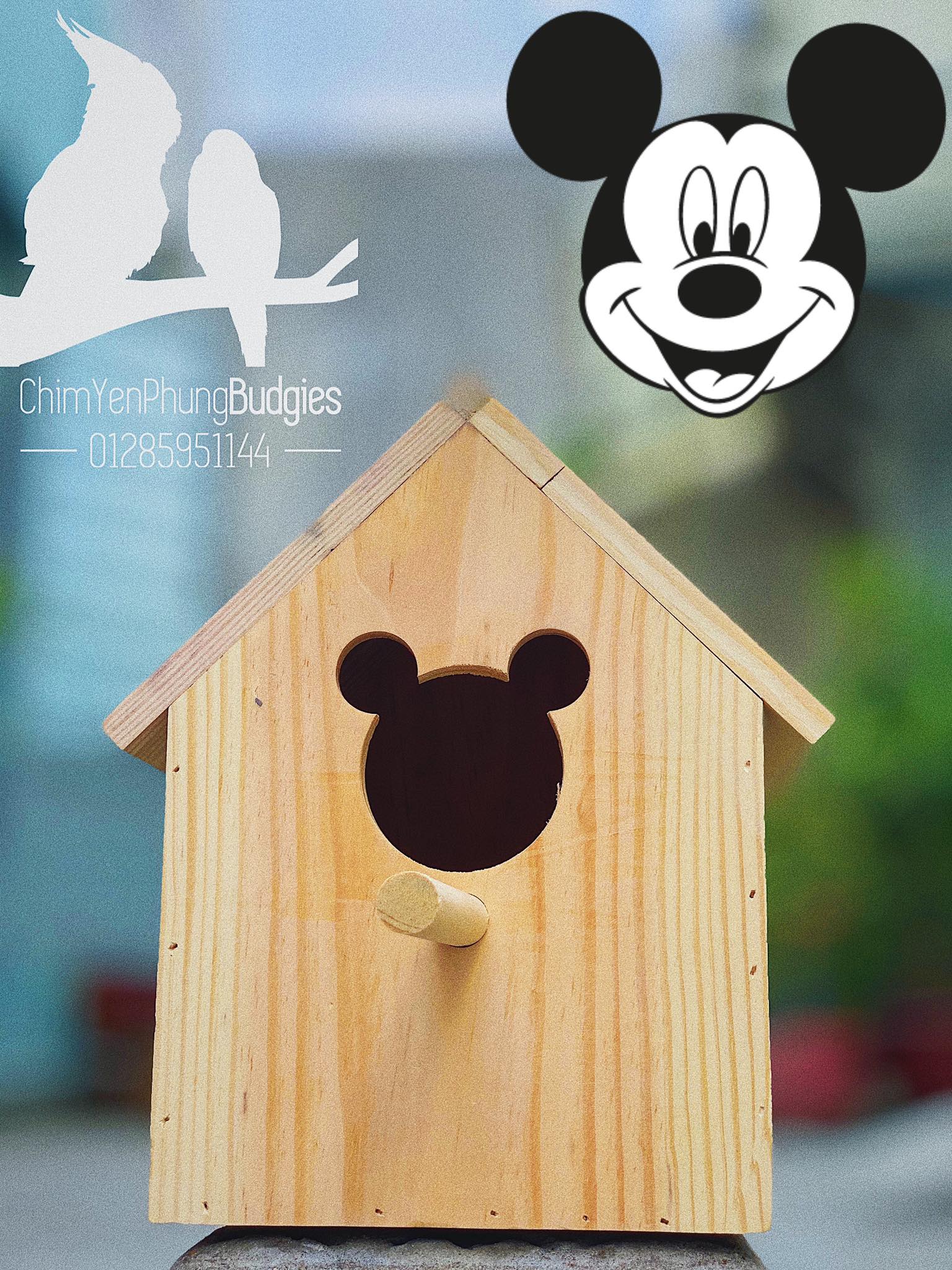 Tổ đẻ Mái Nhà cho Chim Cảnh nhỏ hoặc trang trí sân vườn.