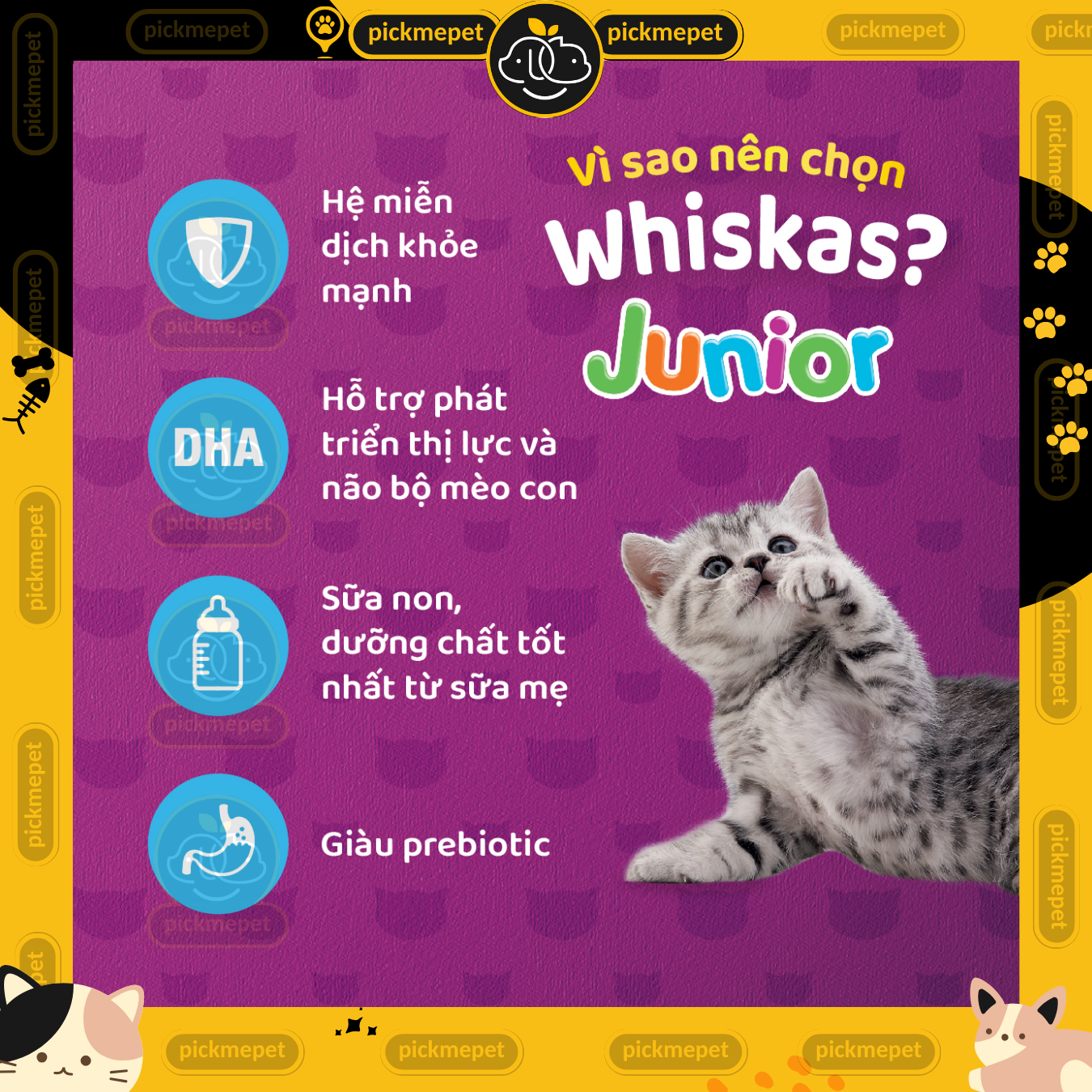 Pate Whiskas Junior For Kittens 80g