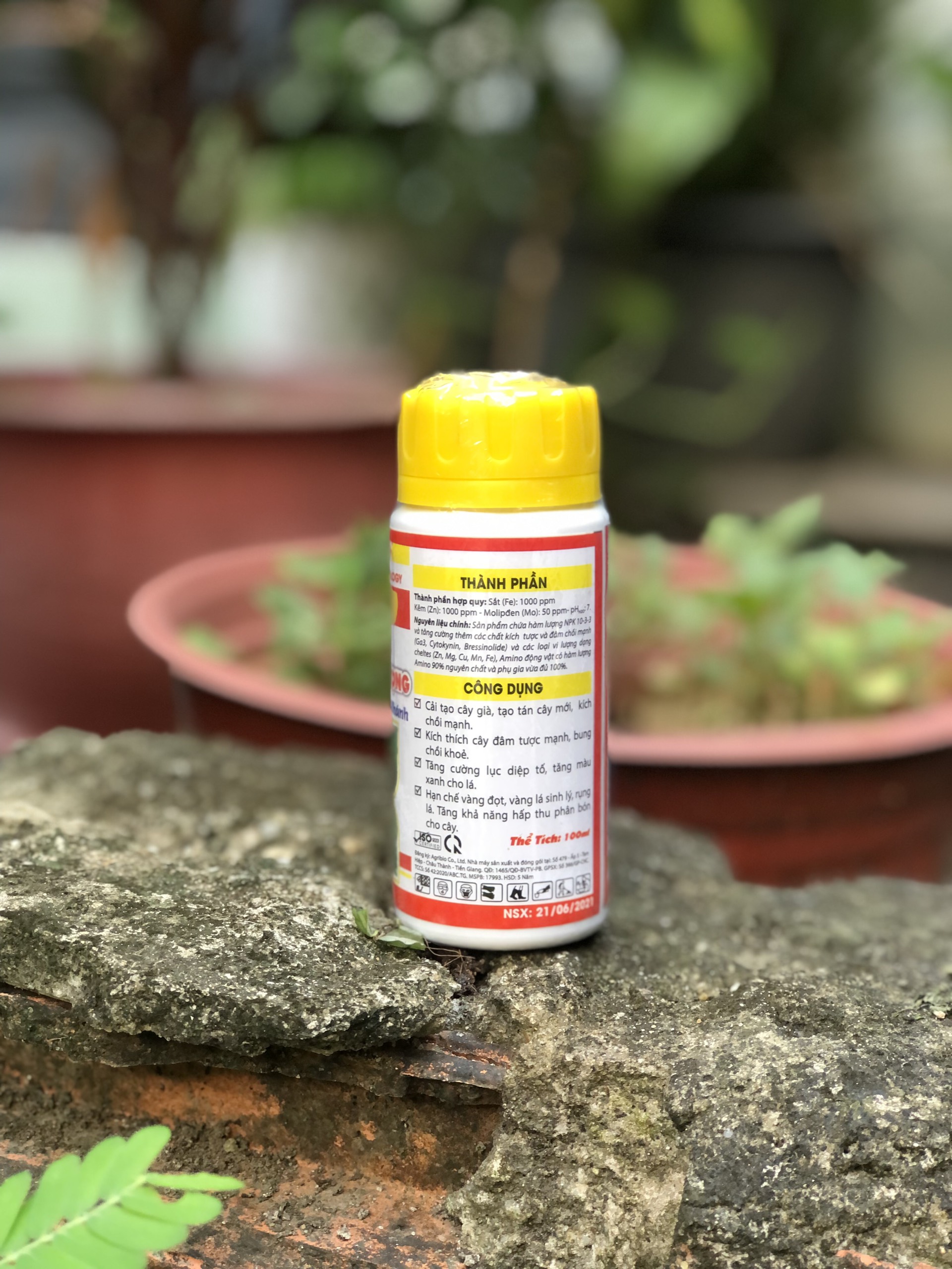 Siêu phóng đọt bật chồi mập cọng TD 90-Úc -100ml