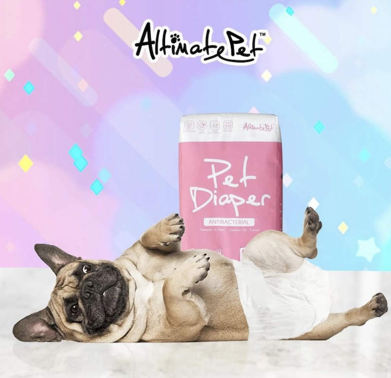 Tã quần Pet Diaper Antibacterial cho chó cái