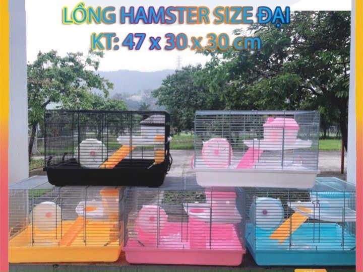 [HCM]Lồng hamster full phụ kiện BigSize cho hamster (y hình)