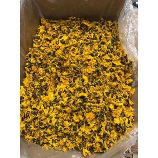 Sỉ toàn quốc 500g hoa cúc vàng