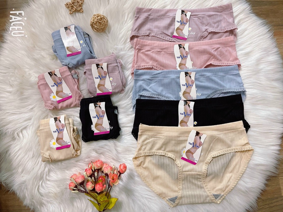 COMBO 7Quần lót cotton họa tiết hoa cúc cho nữ