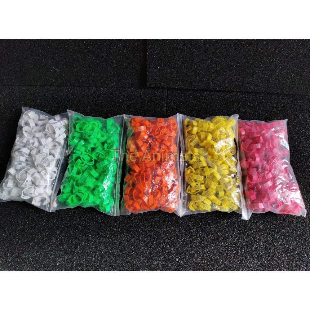 [Bich 100 cái] Vòng đeo chân cho gà, vịt, bồ câu