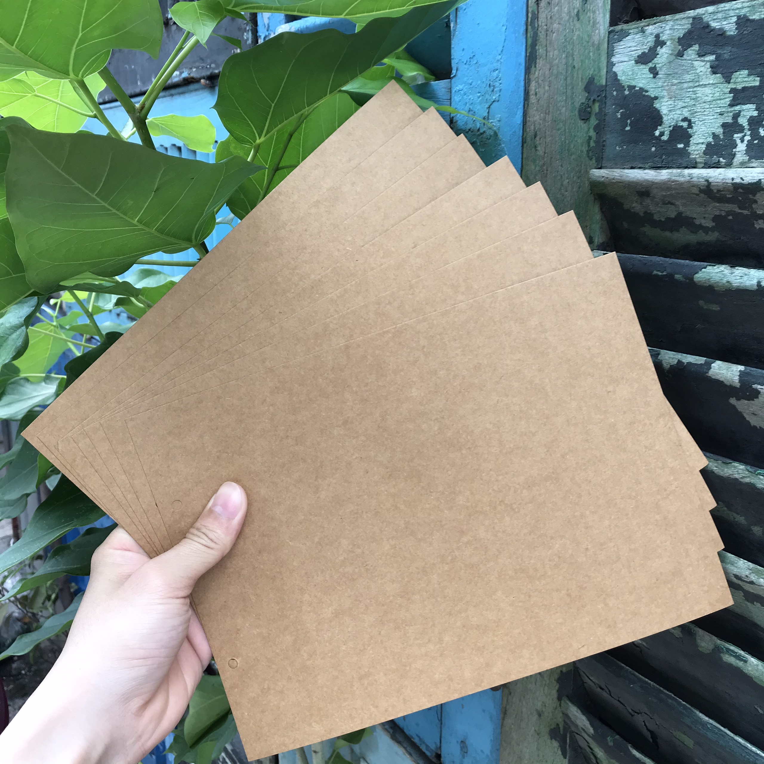 [HCM]Album DIY 3L