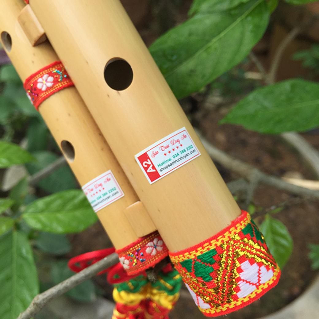 sáo mèo kép việt
