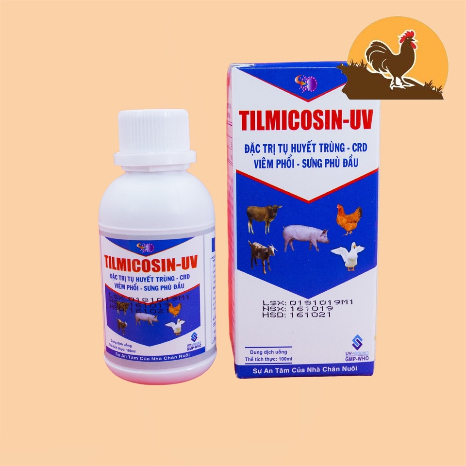TILMICOSIN - UV khò khè, xỗ mũi CHAI 100ML