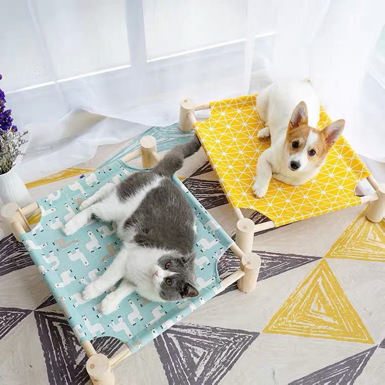 Giường ngủ cao cấp dành cho chó mèo