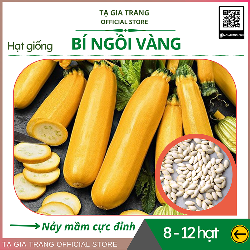 Hạt giống bí ngồi vàng - Gói 15- 20 hạt