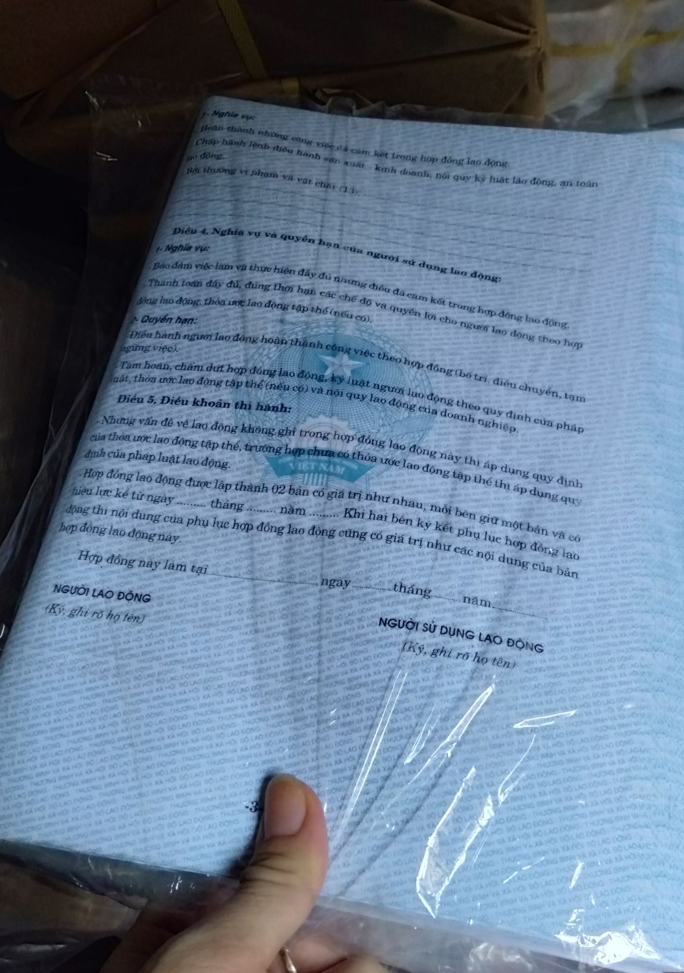 Hợp đồng lao động (100 tờ)
