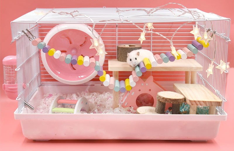 Wooden Ladder for Creating a Landscape for Hamsters with Fat Tails - T3 Pets Shop