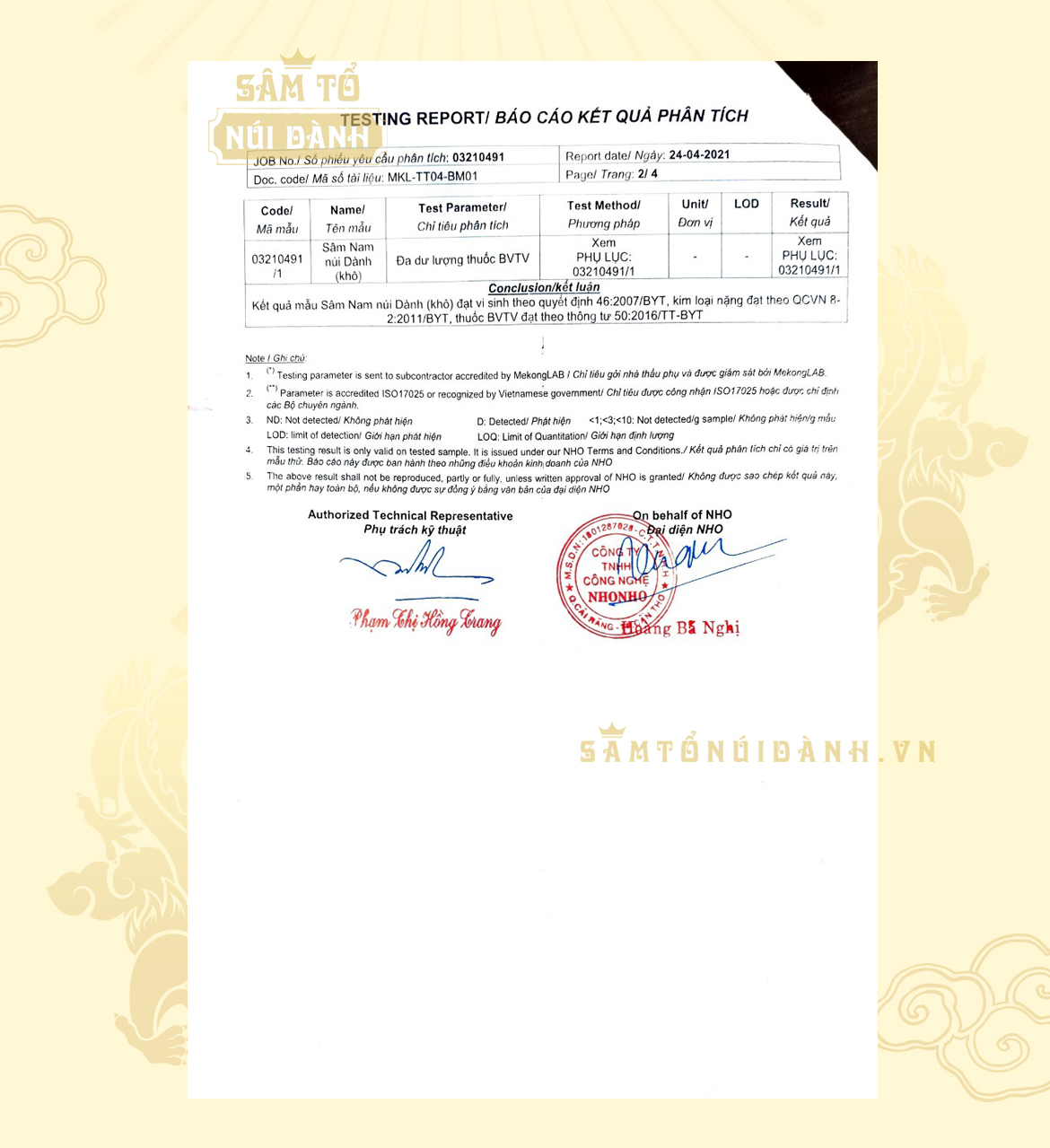 Bình rượu Sâm Nam núi Dành ngâm 3 lít. Sâm Tổ Núi Dành