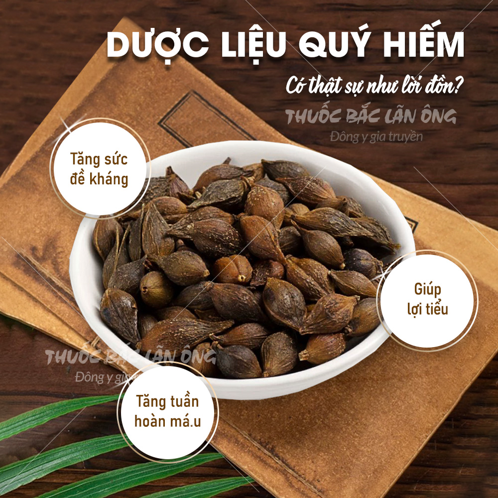 Dried Lien Kieu 100g, Lower Inflammation, Supports the Reduction of Pimples, Rashes, Itching, Cools the Body, Detoxifies, Cools the Liver