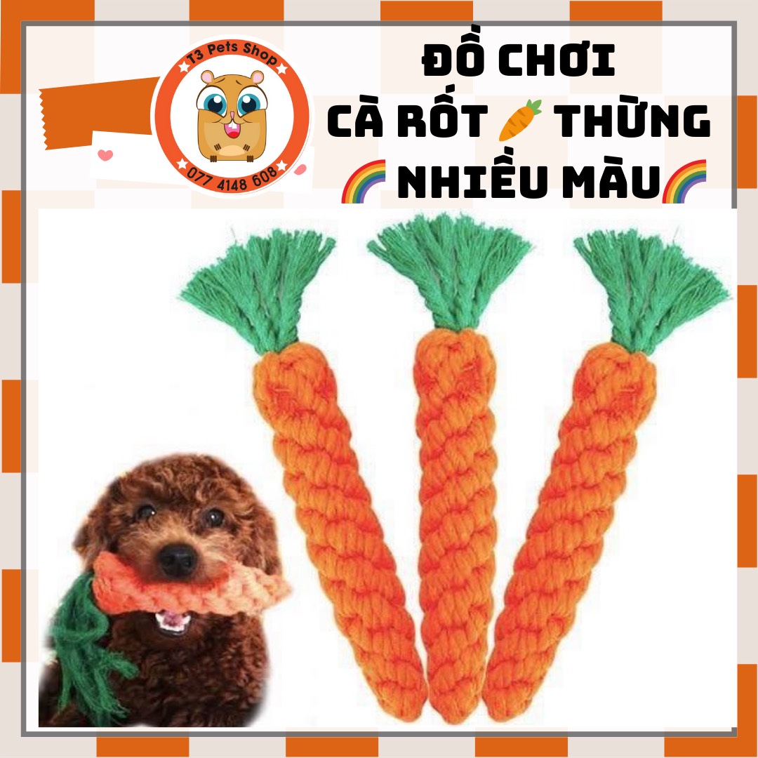 đồ chơi chó mèo - cà rốt thừng cho chó mèo - T3 PETS SHOP