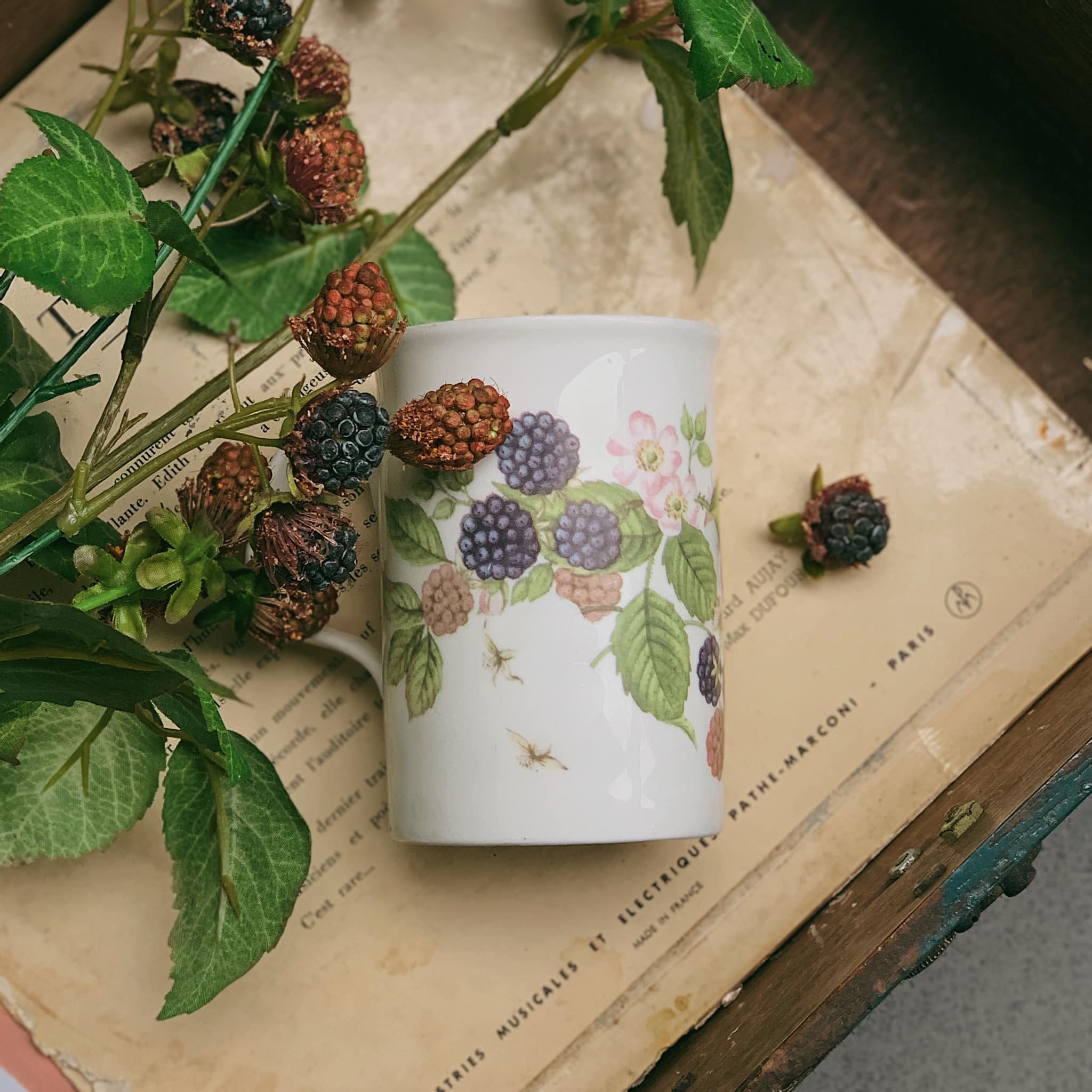 Ly gốm sứ hoạ tiết cổ điển ✨