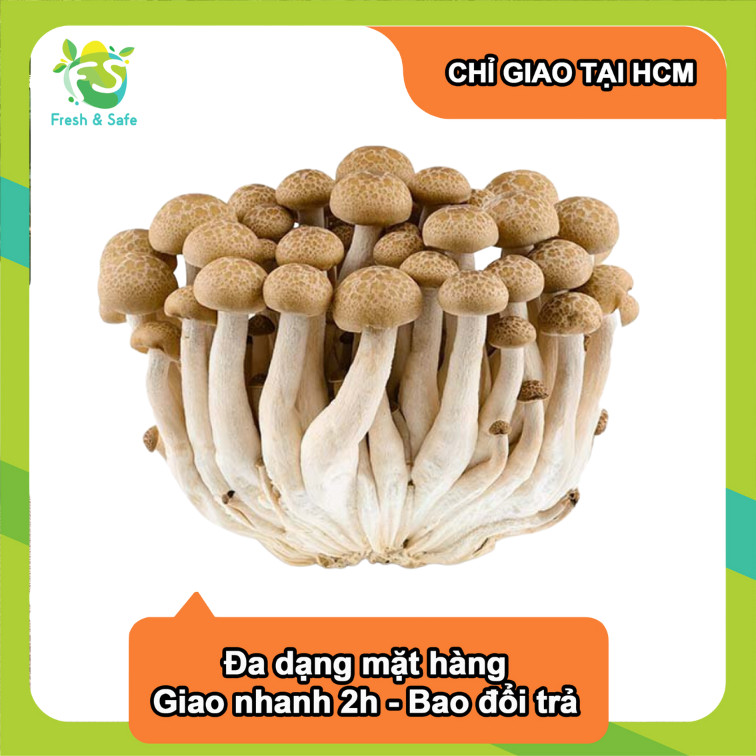 [Chỉ Giao HCM] Nấm Linh Chi Nâu - 125g
