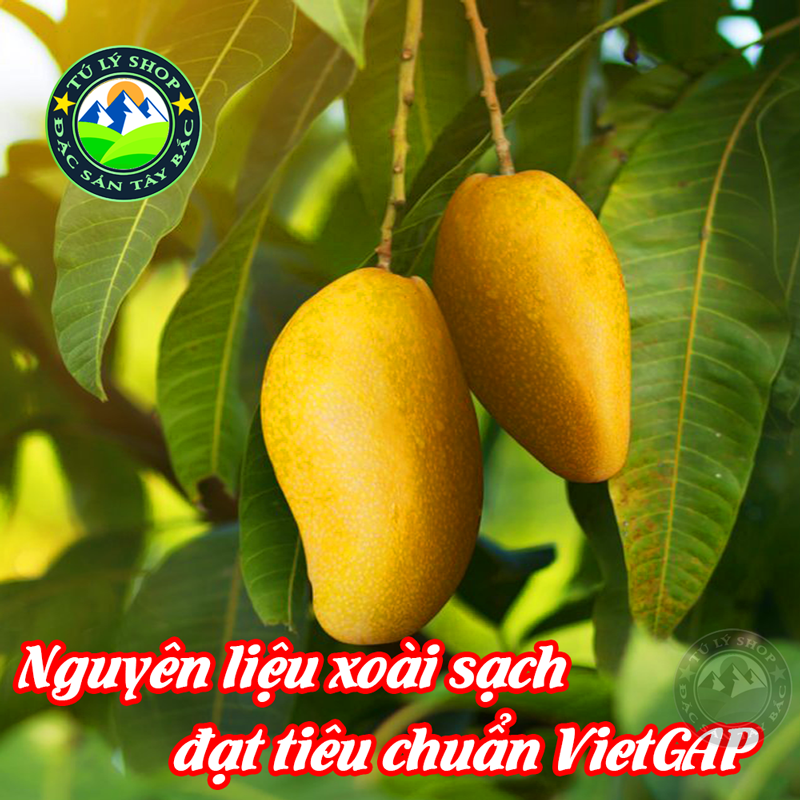 Xoài Sấy Dẻo Mộc Châu 200g (Xoài Sạch VietGap - Đặc Sản Mộc Châu)