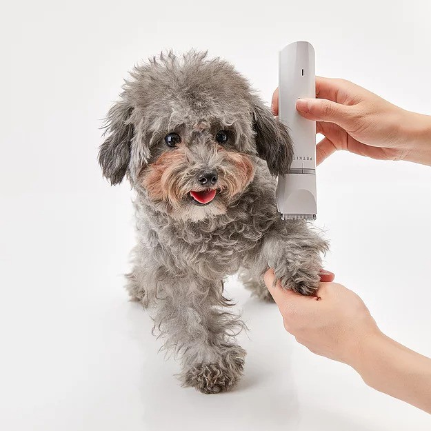 Tông đơ đa năng cho chó và mèo PETKIT 2in1