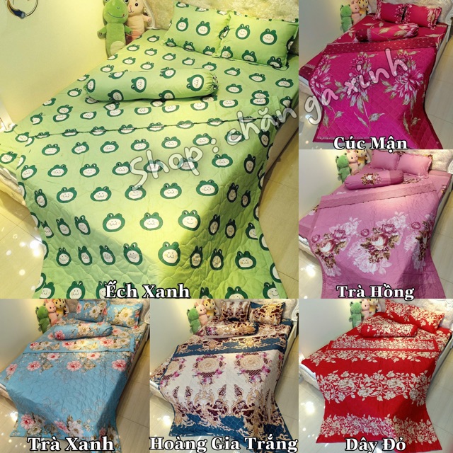 Set 5 Món Chăn Ga gối Poly Cotton ( được chọn mẫu )