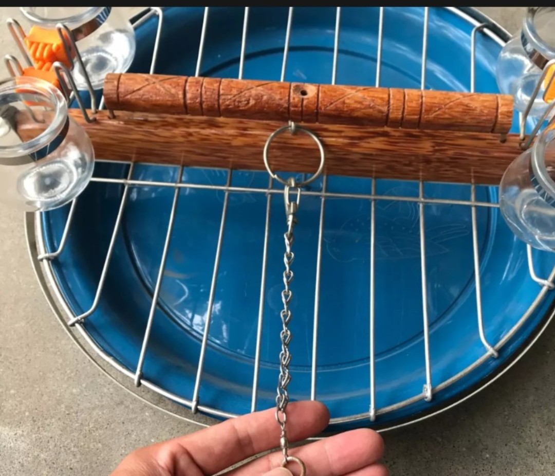Cầu đứng cho vẹt