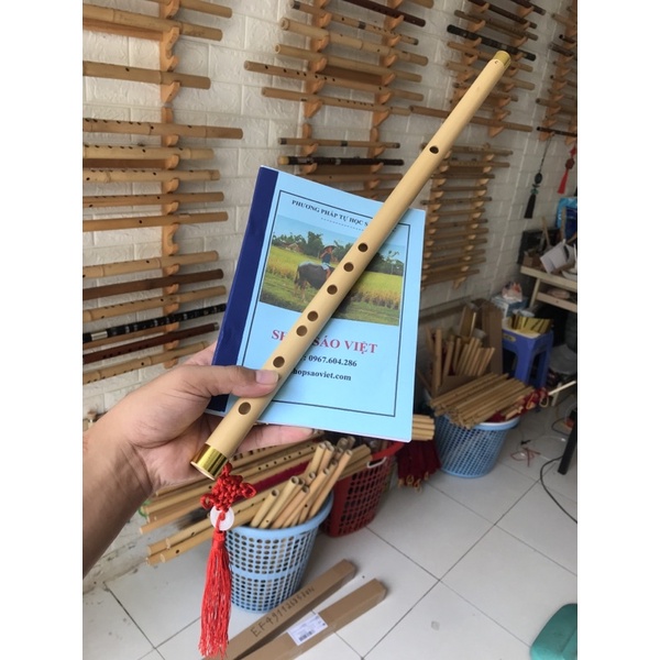 Sáo Trúc Tone Đô (C5) Tặng Full Phụ Kiện