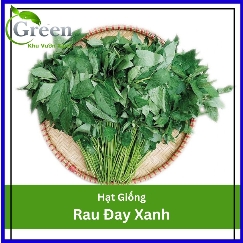 Hạt Giống Rau Đay Xanh