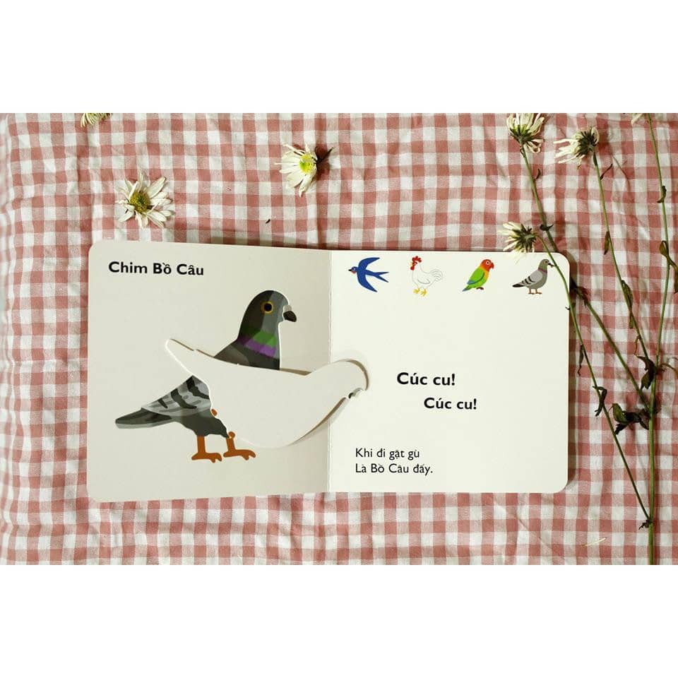 Sách - Cùng chơi trốn tìm (Trọn bộ 11 cuốn)