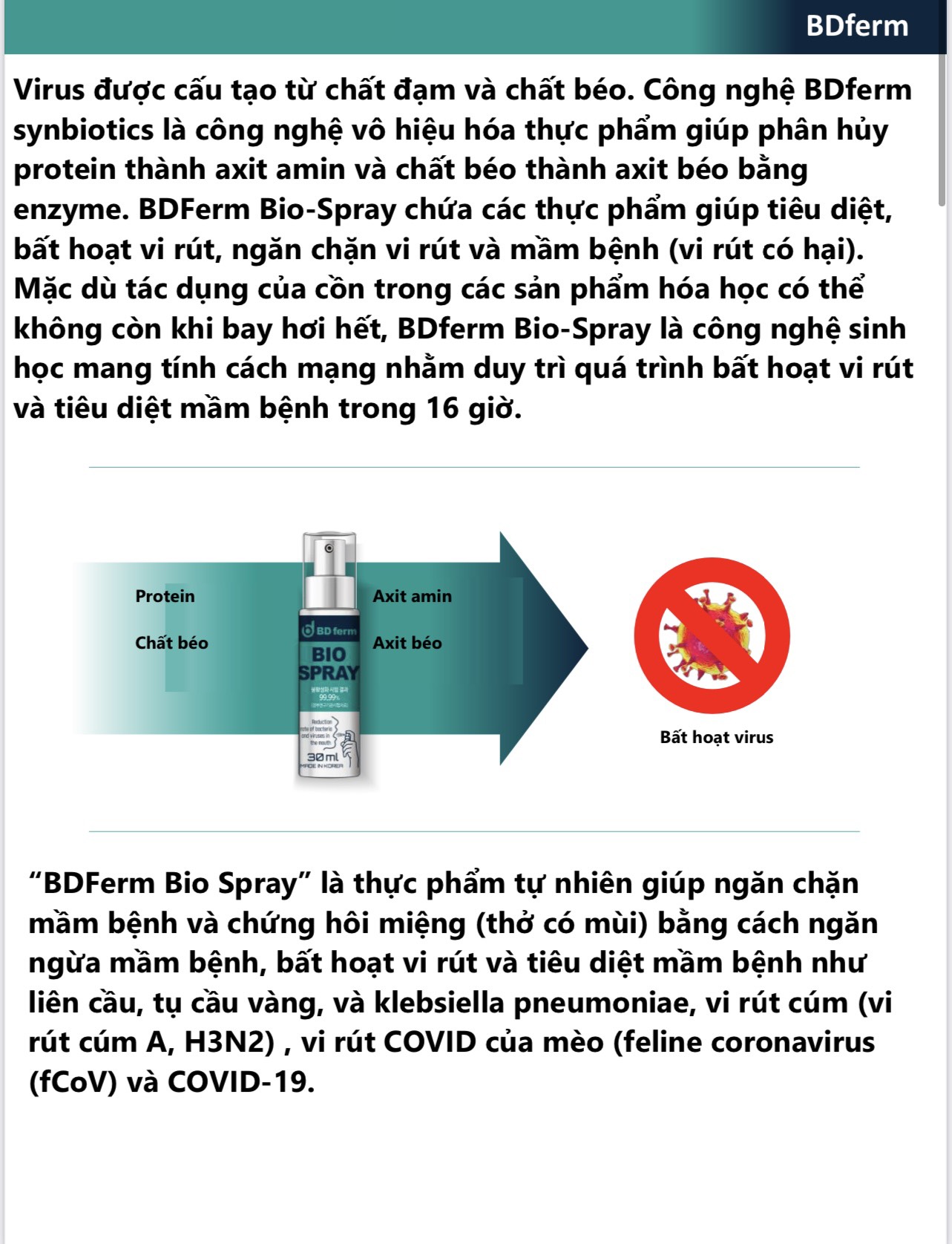 Xịt họng kháng khuẩn sinh học BDFERM BIO - SPRAY