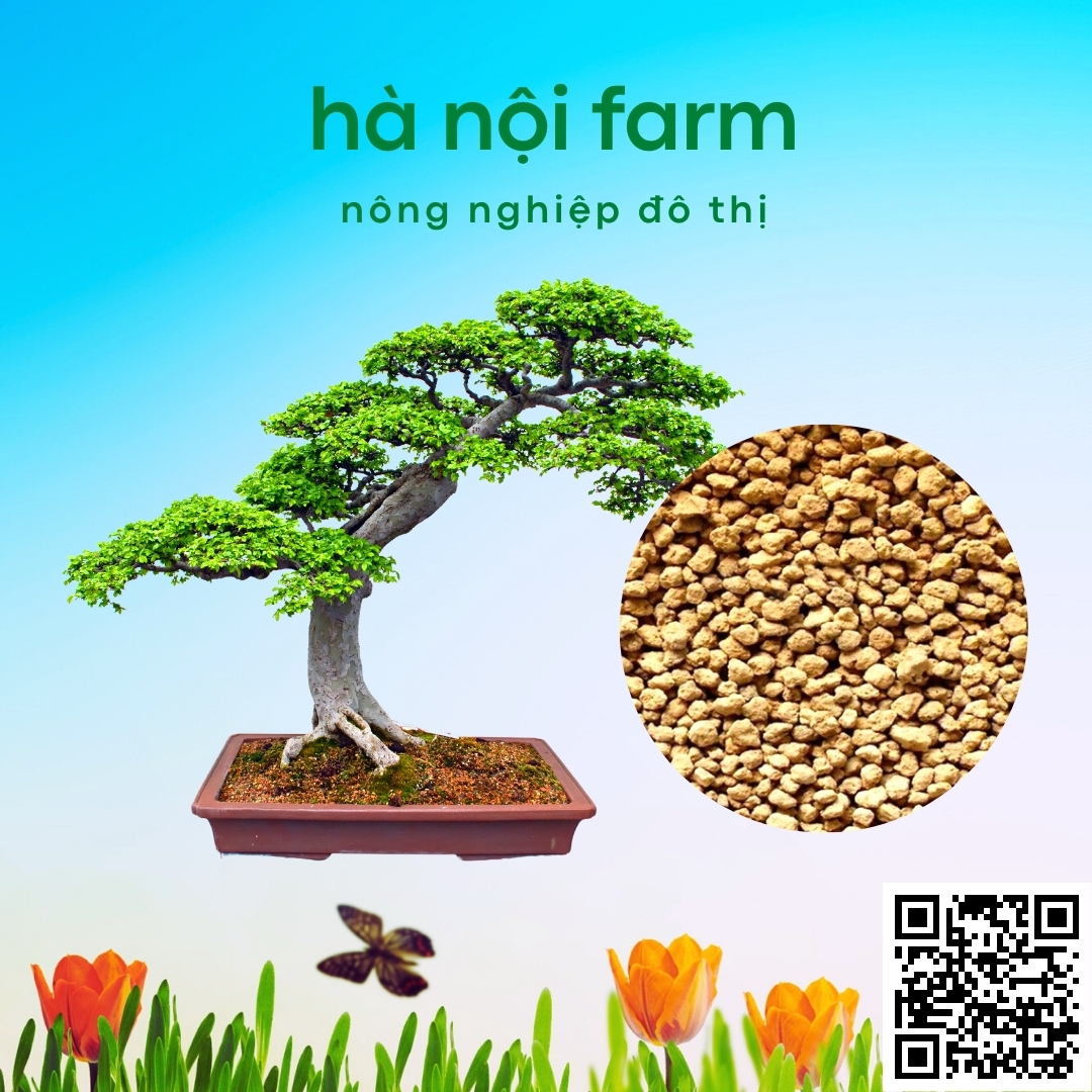 Đất nung Nhật Bản Akadama, Đất nung núi lửa - 1KG