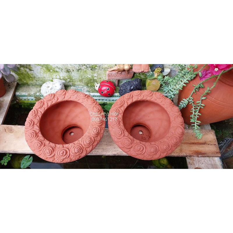 Chậu đất nung Bình Dương ly cúp hoa hồng