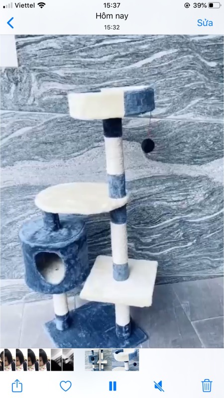 Nhà cây cho mèo Cattree