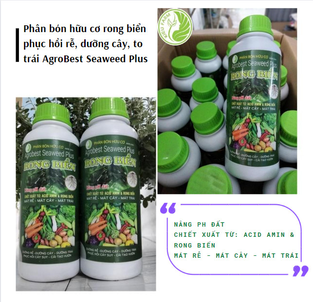 Phân bón từ rong biển lên men (chai 1 lít)