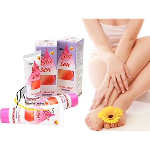 Kem nứt gót chân Gót Sen Thái Dương