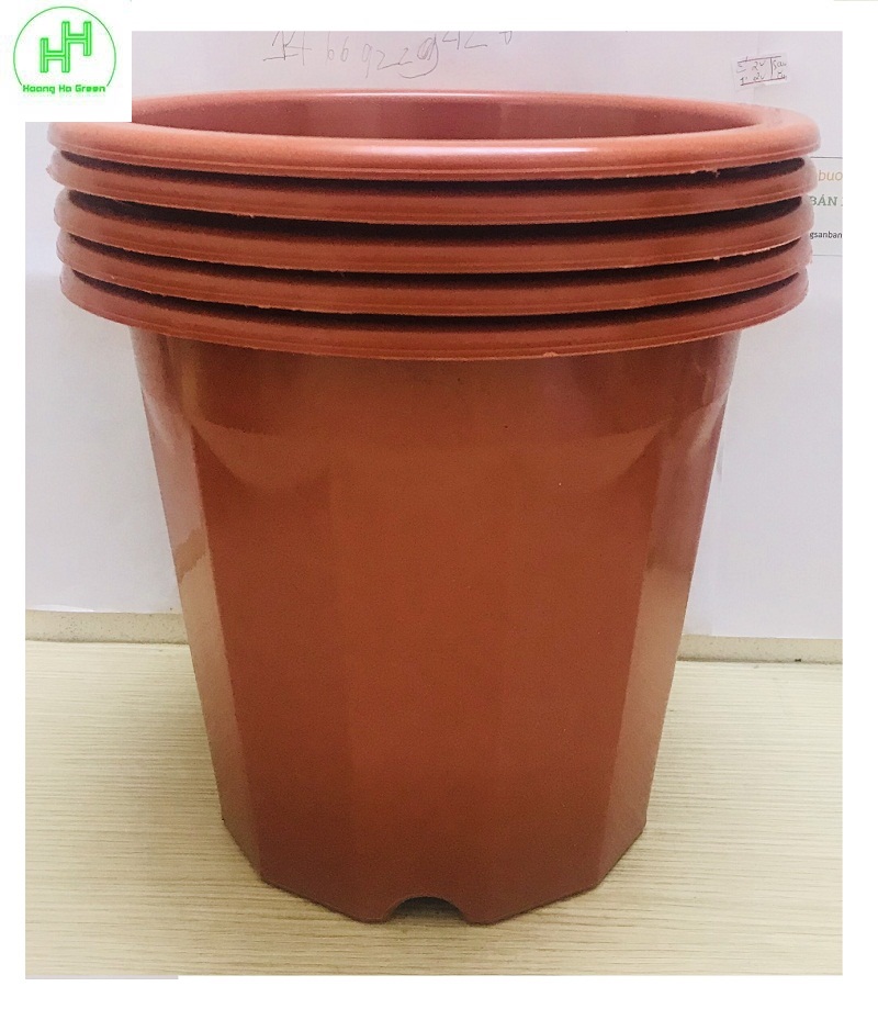 5 Chậu Nhựa Trồng Hoa, Cây Cảnh E280 Nhựa Bình Thuận