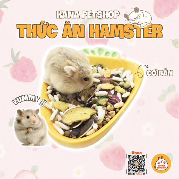 Thức Ăn Hamster 🐹FREESHIP🐹 Đồ Ăn Cơ Bản Không Chất Bảo Quản Phụ Gia Hamster Sóc .....
