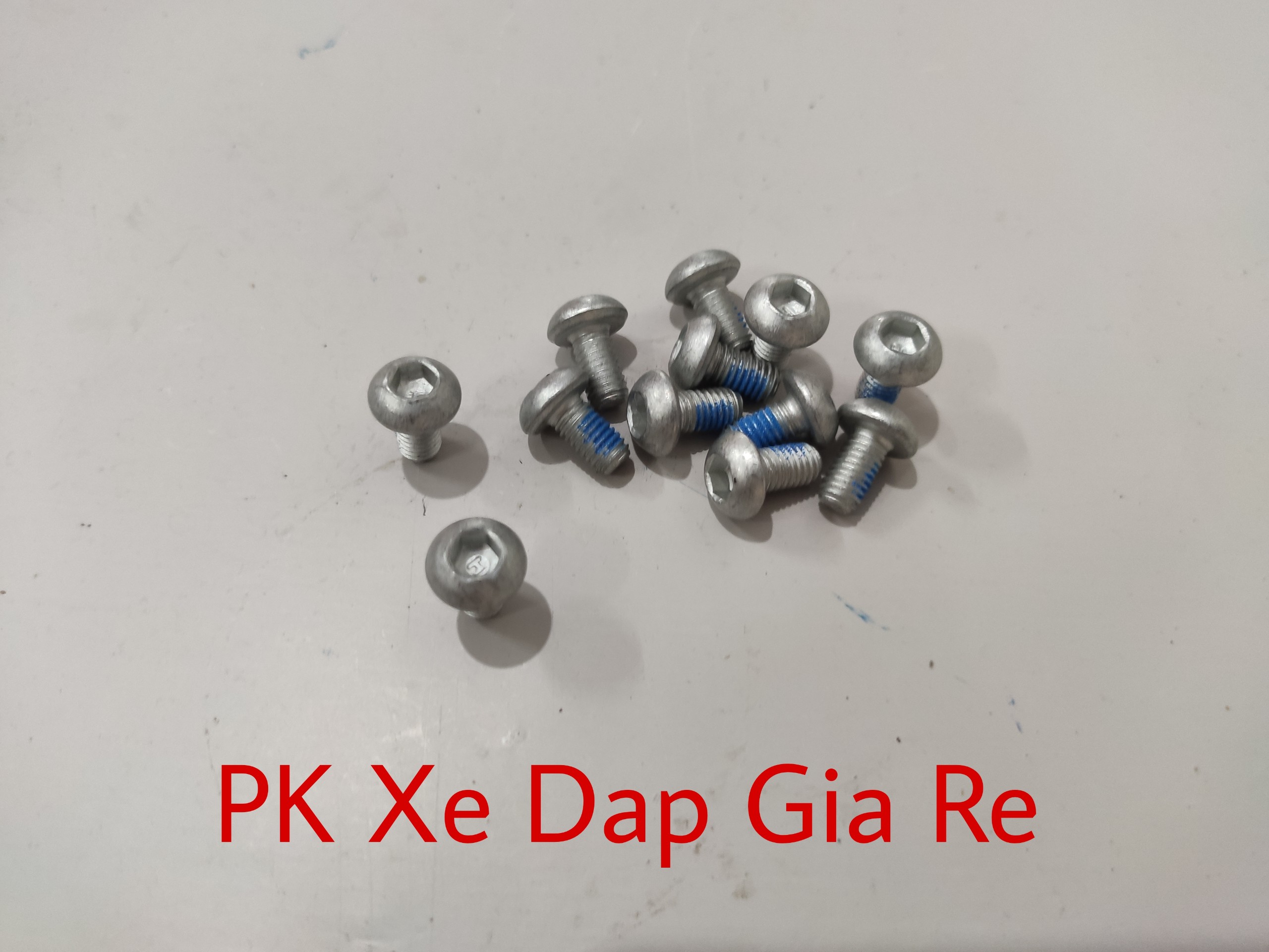 Ốc bắt đĩa phanh xe đạp, Combo 12 ốc vặn đĩa phanh xe đạp