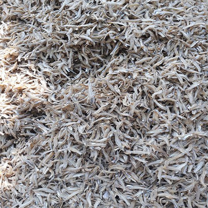 Cá mờm sữa Nha Trang 500g, đóng gói hút chân không