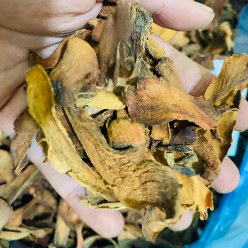 Cốt toái bổ mạnh gân cốt, bổ can thận