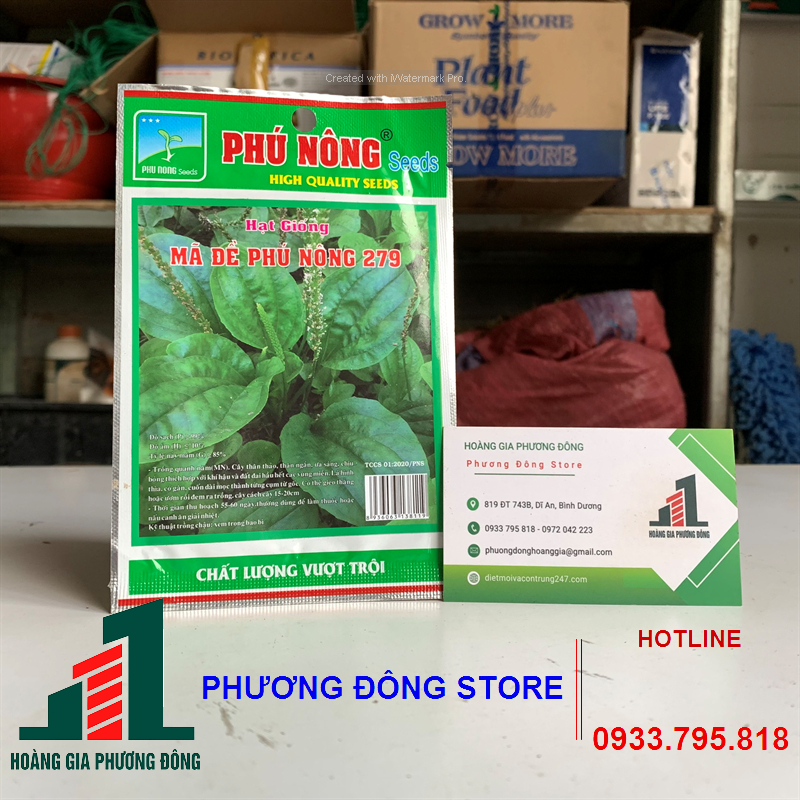 Combo 5-10 gói hạt giống Rau mã đề Phú Nông 279 sinh trưởng nhanh - gói 2g