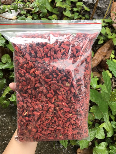 Kỉ Tử Hữu Cơ Gói 100gr Dùng Thử