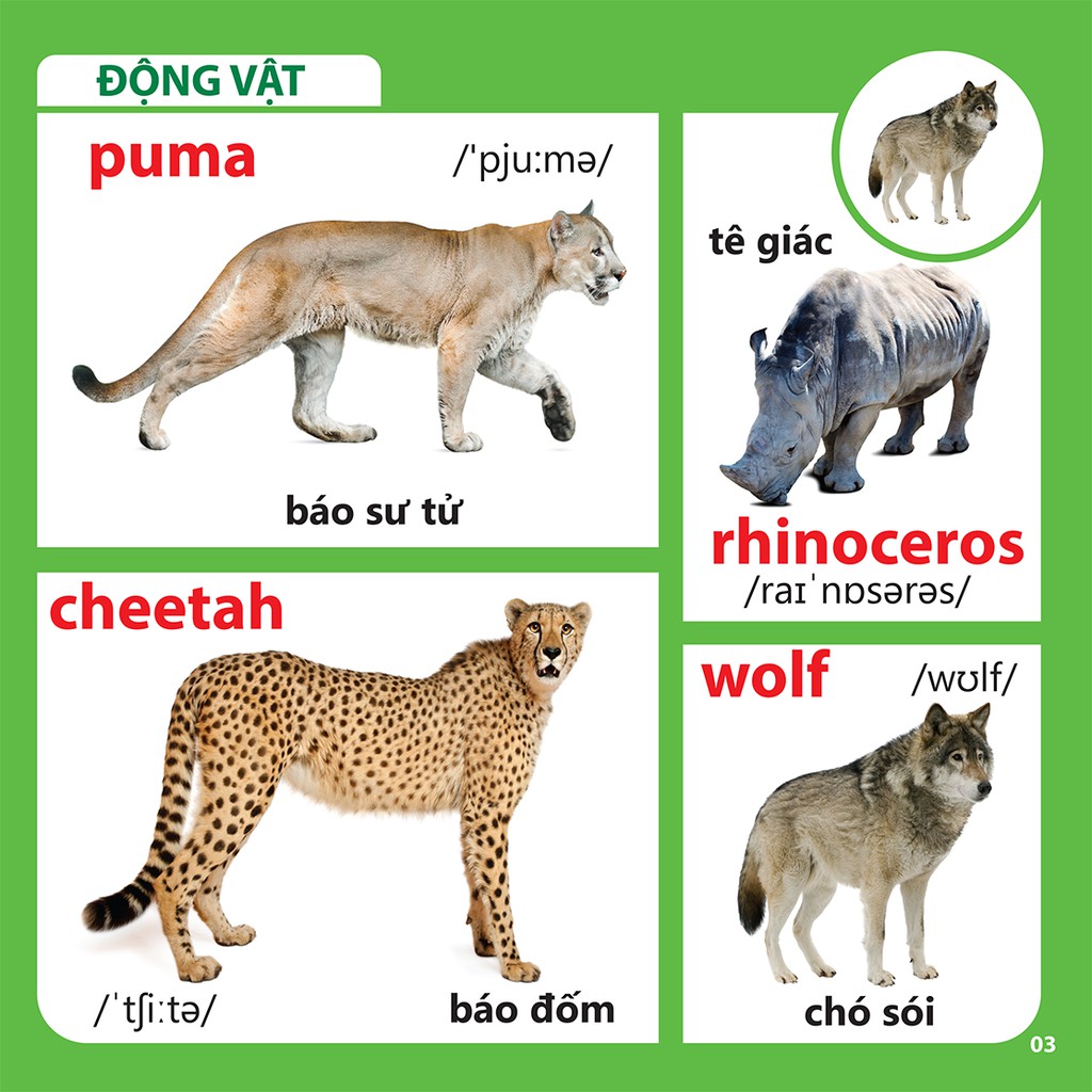 Sách - Bách Khoa Toàn Thư Cho Bé - Động Vật 46k (Tái Bản)
