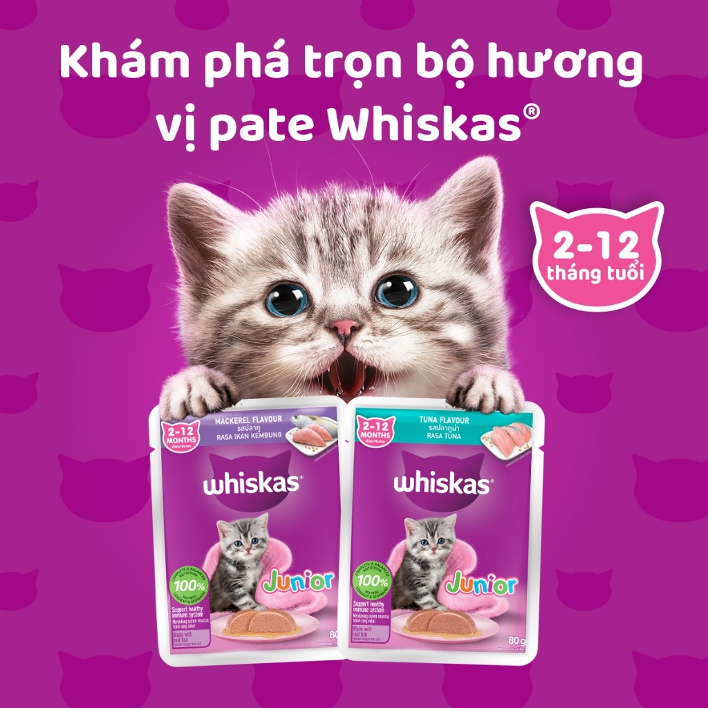 Súp pate whiskas dành cho mèo con và trưởng thành 80gr