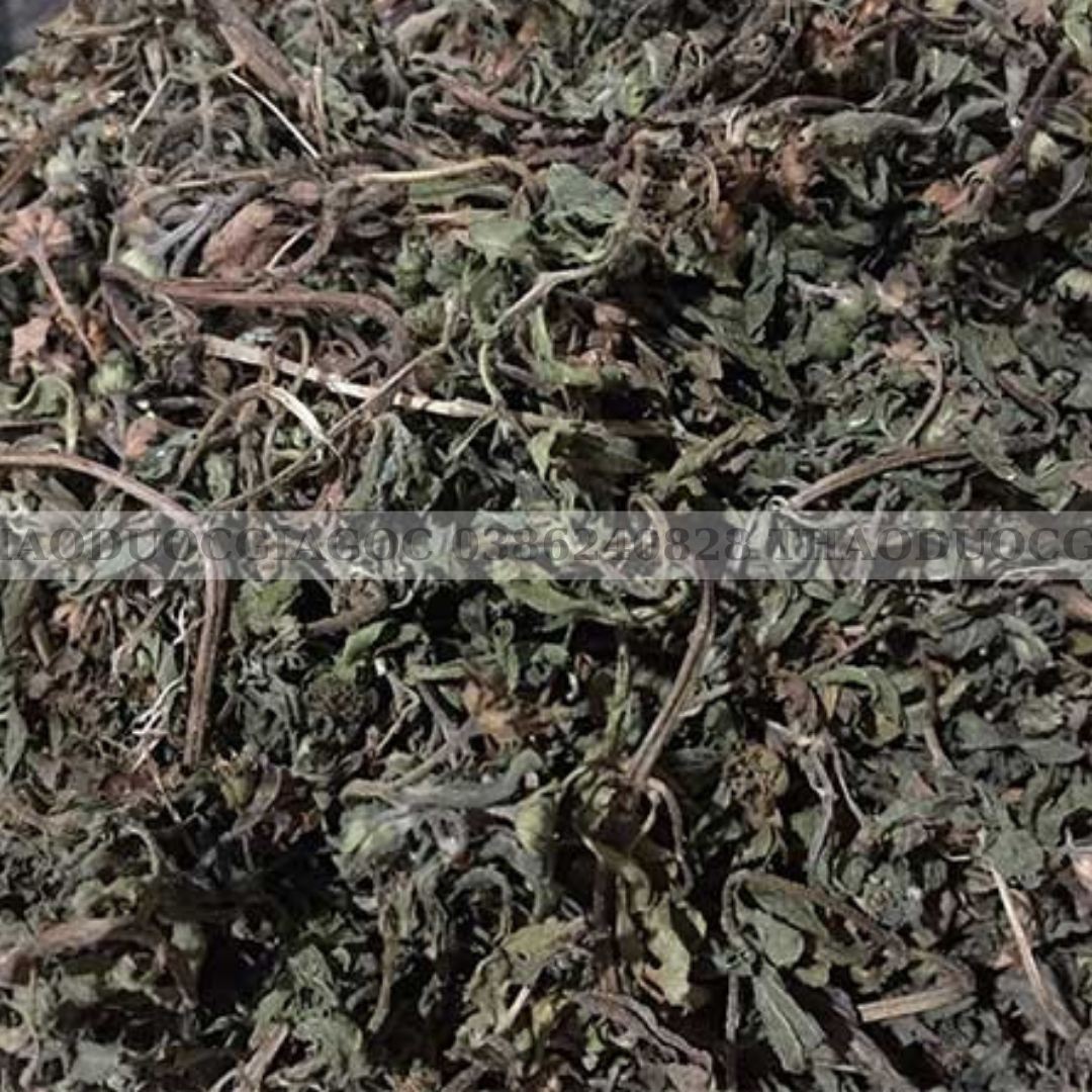 2Kg Cỏ Mực Nhọ Nồi [ Cành lá khô sạch đẹp ]